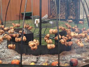 5 chicken & pumpkins