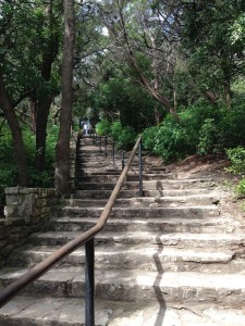 7 Mt. Bonnell stairs