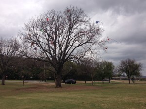 21 kite tree